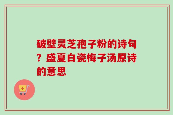 破壁灵芝孢子粉的诗句？盛夏白瓷梅子汤原诗的意思