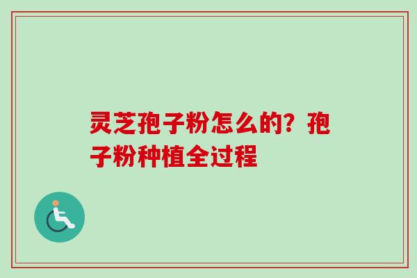 灵芝孢子粉怎么的？孢子粉种植全过程
