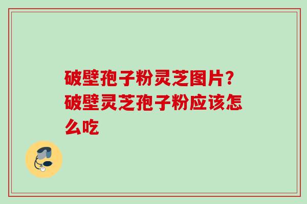 破壁孢子粉灵芝图片？破壁灵芝孢子粉应该怎么吃