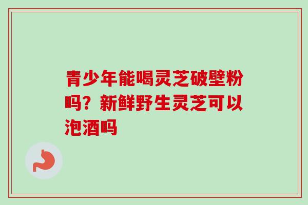 青少年能喝灵芝破壁粉吗？新鲜野生灵芝可以泡酒吗