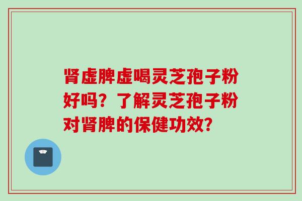 肾虚脾虚喝灵芝孢子粉好吗？了解灵芝孢子粉对肾脾的保健功效？