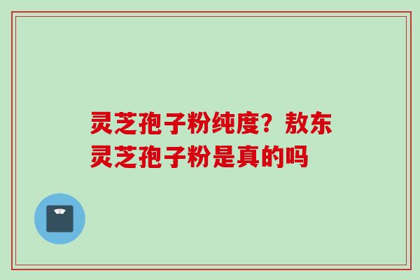 灵芝孢子粉纯度？敖东灵芝孢子粉是真的吗