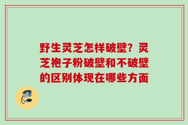 野生灵芝怎样破壁?灵芝袍子粉破壁和不破壁的区别体现在哪些方面 野生灵芝怎样破壁?灵芝袍子粉破壁和不破壁的区别体现在哪些方面