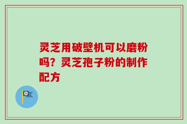 灵芝用破壁机可以磨粉吗？灵芝孢子粉的制作配方