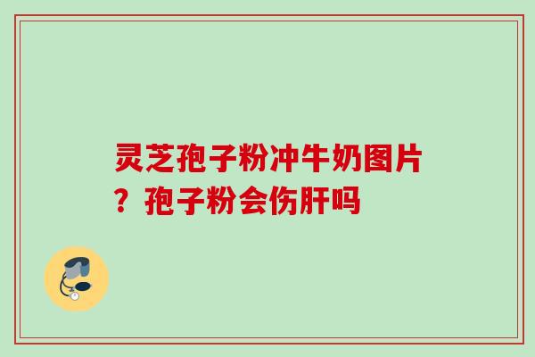 灵芝孢子粉冲牛奶图片？孢子粉会伤肝吗