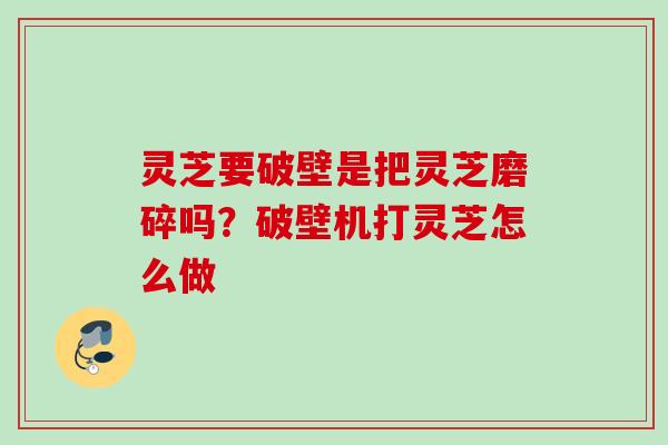 灵芝要破壁是把灵芝磨碎吗？破壁机打灵芝怎么做