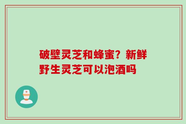 破壁灵芝和蜂蜜？新鲜野生灵芝可以泡酒吗