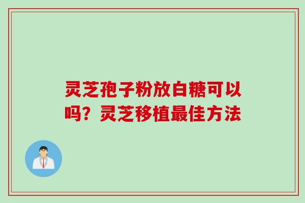 灵芝孢子粉放白糖可以吗?灵芝移植佳方法 灵芝孢子粉放白糖可以吗?灵芝移植佳方法