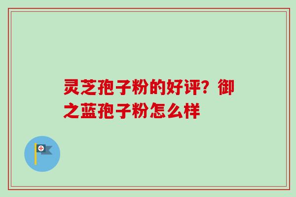 灵芝孢子粉的好评？御之蓝孢子粉怎么样