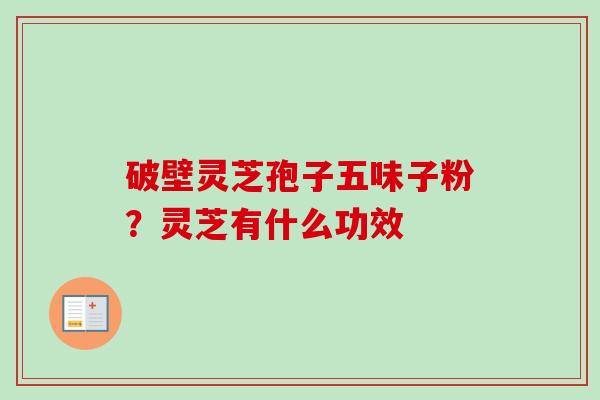 破壁灵芝孢子五味子粉？灵芝有什么功效