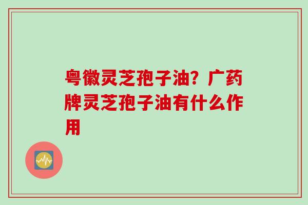粤徽灵芝孢子油？广药牌灵芝孢子油有什么作用