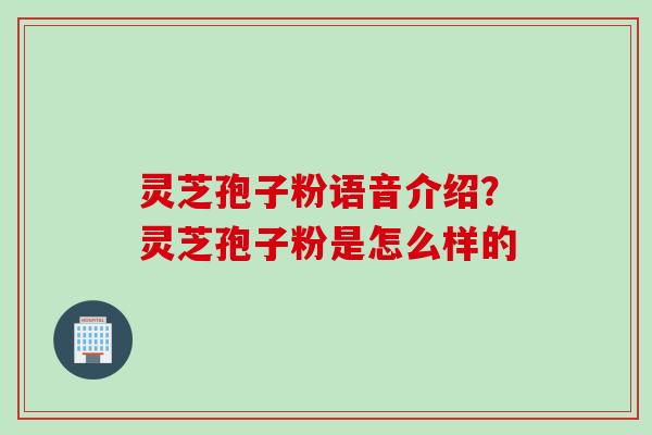 灵芝孢子粉语音介绍？灵芝孢子粉是怎么样的