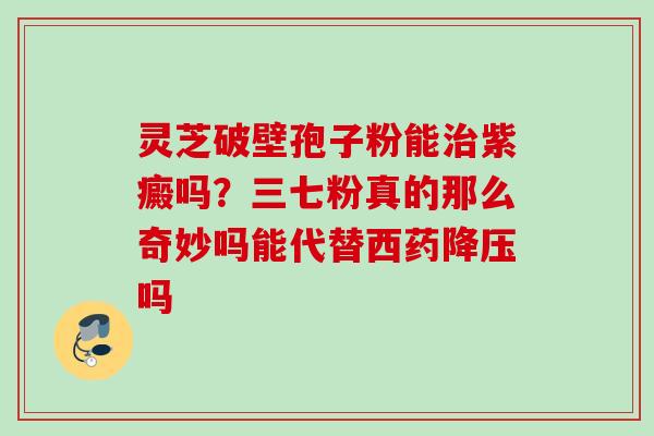 灵芝破壁孢子粉能治紫癜吗？三七粉真的那么奇妙吗能代替西药降压吗