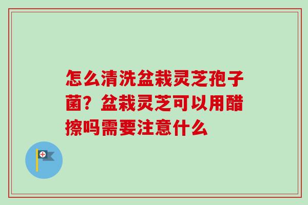 怎么清洗盆栽灵芝孢子菌？盆栽灵芝可以用醋擦吗需要注意什么