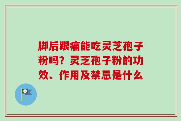 脚后跟痛能吃灵芝孢子粉吗？灵芝孢子粉的功效、作用及禁忌是什么