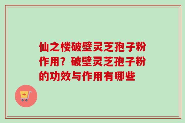仙之楼破壁灵芝孢子粉作用？破壁灵芝孢子粉的功效与作用有哪些