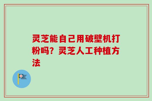 灵芝能自己用破壁机打粉吗？灵芝人工种植方法