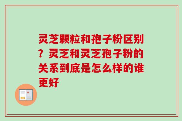 灵芝颗粒和孢子粉区别？灵芝和灵芝孢子粉的关系到底是怎么样的谁更好