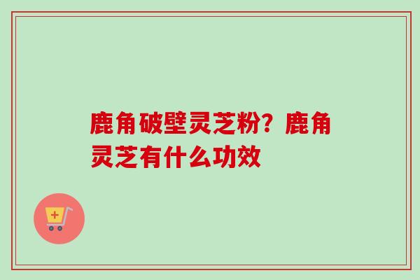 鹿角破壁灵芝粉？鹿角灵芝有什么功效