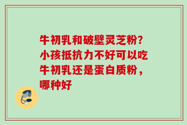 牛初乳和破壁灵芝粉?小孩抵抗力不好可以吃牛初乳还是蛋白质粉,哪种好 牛初乳和破壁灵芝粉?小孩抵抗力不好可以吃牛初乳还是蛋白质粉,哪种好
