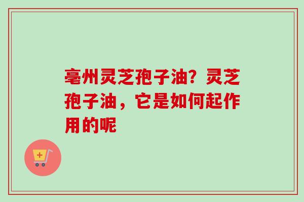 亳州灵芝孢子油？灵芝孢子油，它是如何起作用的呢