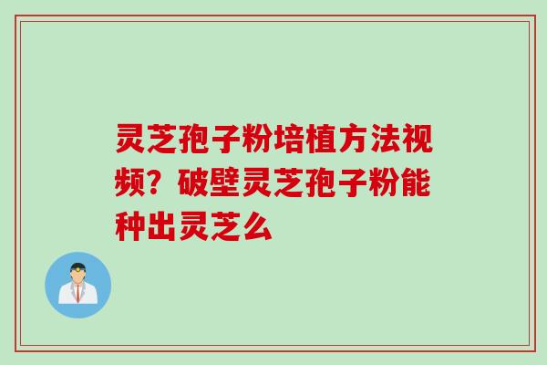 灵芝孢子粉培植方法视频？破壁灵芝孢子粉能种出灵芝么