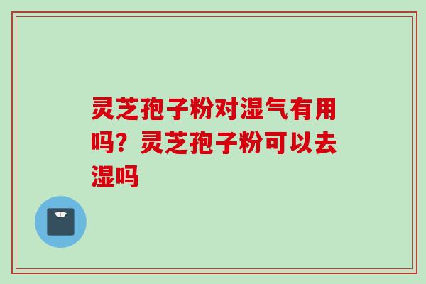 灵芝孢子粉对湿气有用吗？灵芝孢子粉可以去湿吗