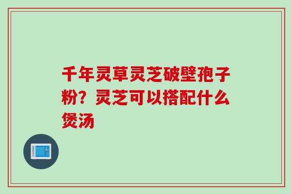 千年灵草灵芝破壁孢子粉？灵芝可以搭配什么煲汤
