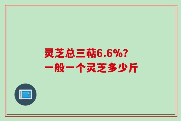 灵芝总三萜6.6%？一般一个灵芝多少斤
