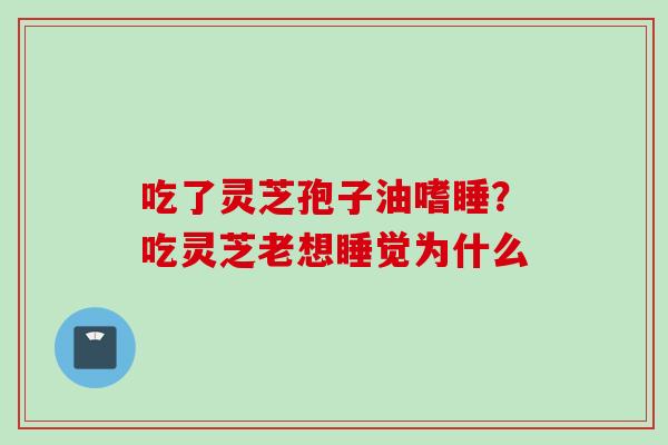 吃了灵芝孢子油嗜睡？吃灵芝老想睡觉为什么