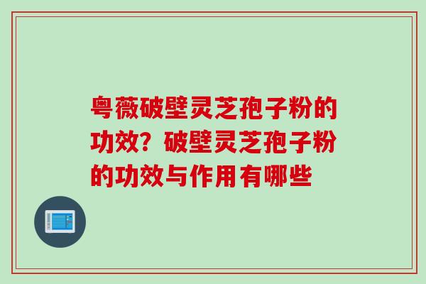 粤薇破壁灵芝孢子粉的功效？破壁灵芝孢子粉的功效与作用有哪些