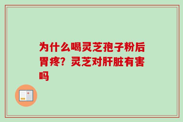 为什么喝灵芝孢子粉后胃疼？灵芝对肝脏有害吗