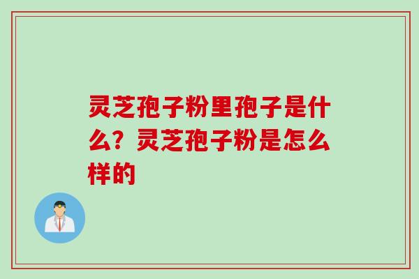 灵芝孢子粉里孢子是什么？灵芝孢子粉是怎么样的