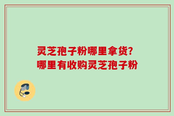 灵芝孢子粉哪里拿货？哪里有收购灵芝孢子粉