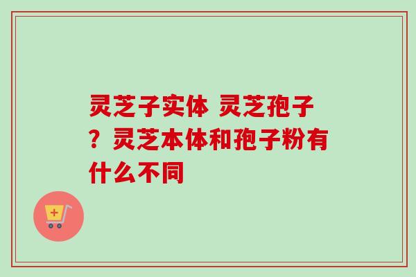 灵芝子实体 灵芝孢子？灵芝本体和孢子粉有什么不同