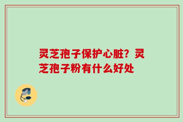灵芝孢子保护心脏？灵芝孢子粉有什么好处