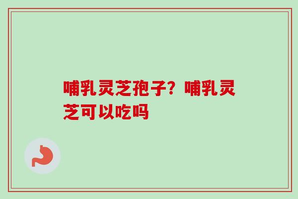 哺乳灵芝孢子？哺乳灵芝可以吃吗