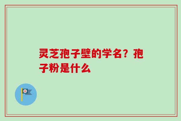灵芝孢子壁的学名？孢子粉是什么