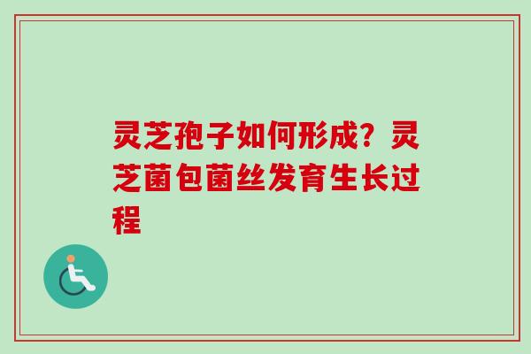 灵芝孢子如何形成？灵芝菌包菌丝发育生长过程
