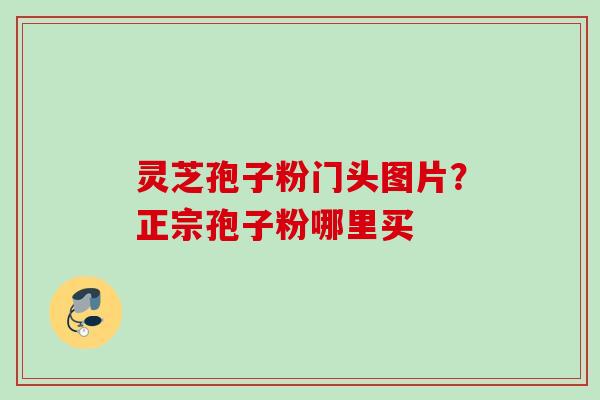 灵芝孢子粉门头图片？正宗孢子粉哪里买