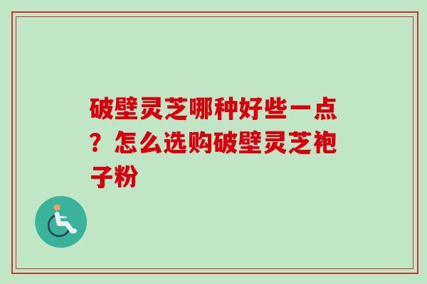 破壁灵芝哪种好些一点？怎么选购破壁灵芝袍子粉