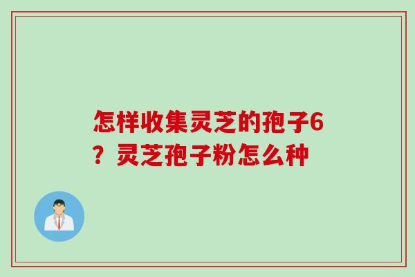 怎样收集灵芝的孢子6?灵芝孢子粉怎么种 怎样收集灵芝的孢子6?灵芝孢子粉怎么种