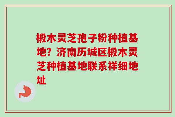椴木灵芝孢子粉种植基地？济南历城区椴木灵芝种植基地联系祥细地址