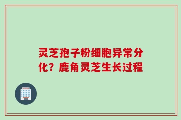 灵芝孢子粉细胞异常分化？鹿角灵芝生长过程