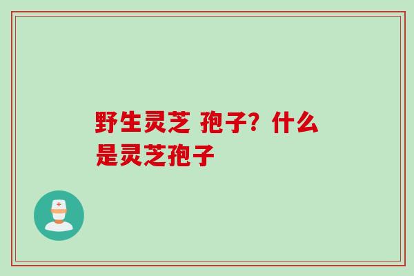 野生灵芝 孢子？什么是灵芝孢子