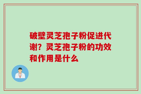 破壁灵芝孢子粉促进代谢？灵芝孢子粉的功效和作用是什么