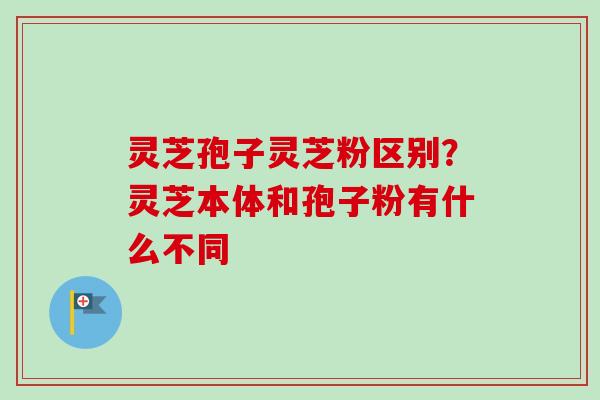 灵芝孢子灵芝粉区别？灵芝本体和孢子粉有什么不同
