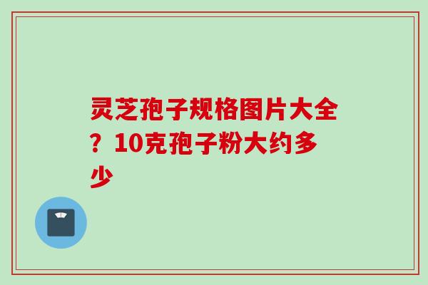 灵芝孢子规格图片大全？10克孢子粉大约多少