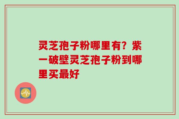 灵芝孢子粉哪里有?紫一破壁灵芝孢子粉到哪里买好 灵芝孢子粉哪里有?紫一破壁灵芝孢子粉到哪里买好
