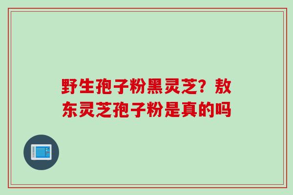 野生孢子粉黑灵芝？敖东灵芝孢子粉是真的吗